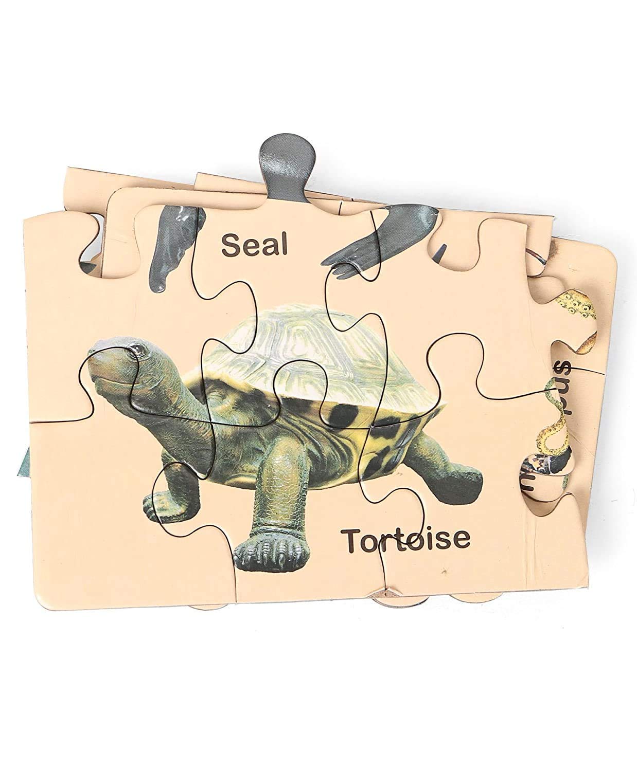 Knowledge Bank Junior