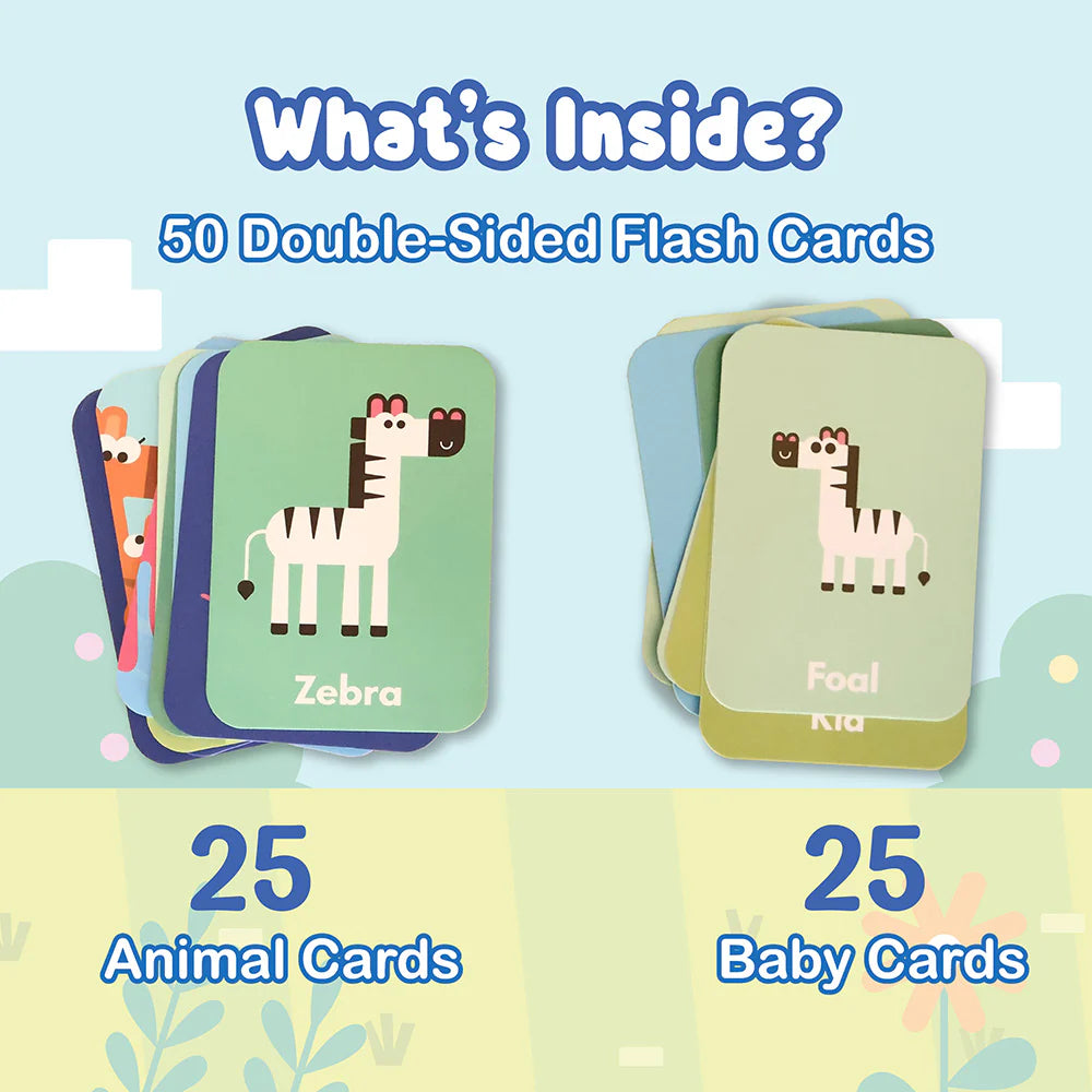 Flash Cards - Animals & Their Babies