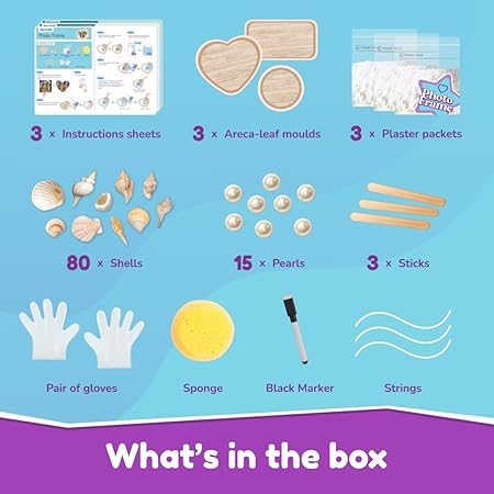 Bloomingo Art & Craft Kit for Shell Creations DIY Craft Kit