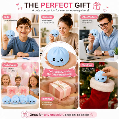 Dumpling Squishy Ball Dumpling Squishy Mystery Box, Cute Big Dumpling Stress Ball, Soft Squeeze Fidget Sensory Toy for Adults & Kids, Anxiety Relief Stress Relief Toy, Fun Desk Toy Gift