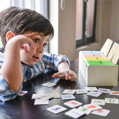 Chalk and Chuckles Sort in the Box- Montessori Sorting & Matching Game for Kids Ages 3-6, Learn Animals, Shapes & Patterns, Educational & Learning Toy for Toddler & Preschooler, Gift for Boys & Girls