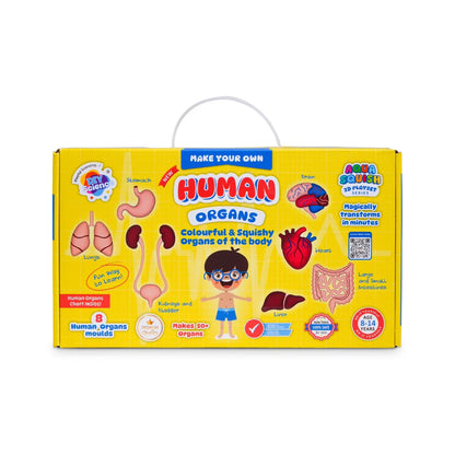 Aqua Squish - Human Organs Kit