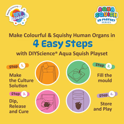 Aqua Squish - Human Organs Kit