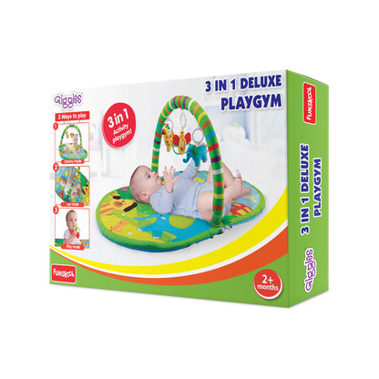 3 In 1 Deluxe Play Gym