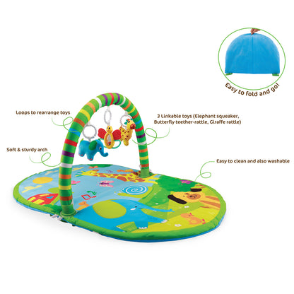 3 In 1 Deluxe Play Gym